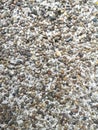 Exposed Aggregate Finish, stoneÃ¢â¬â¹ washÃ¢â¬â¹ floorÃ¢â¬â¹ orÃ¢â¬â¹ wallÃ¢â¬â¹ surounding roughÃ¢â¬â¹ surfaceÃ¢â¬â¹ texture Royalty Free Stock Photo